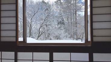 施設からの眺望 / 12