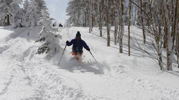 スノー スポーツとスキー / 7