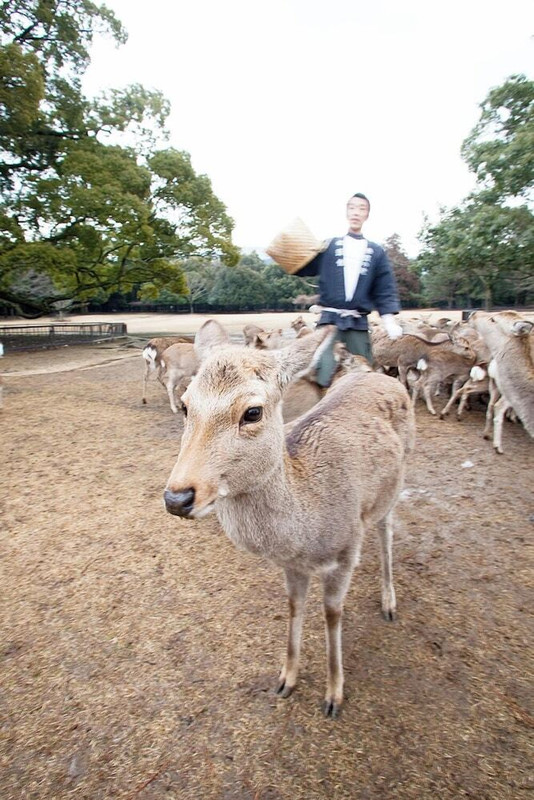 施設からの眺望