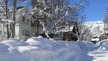 施設の敷地 / 11