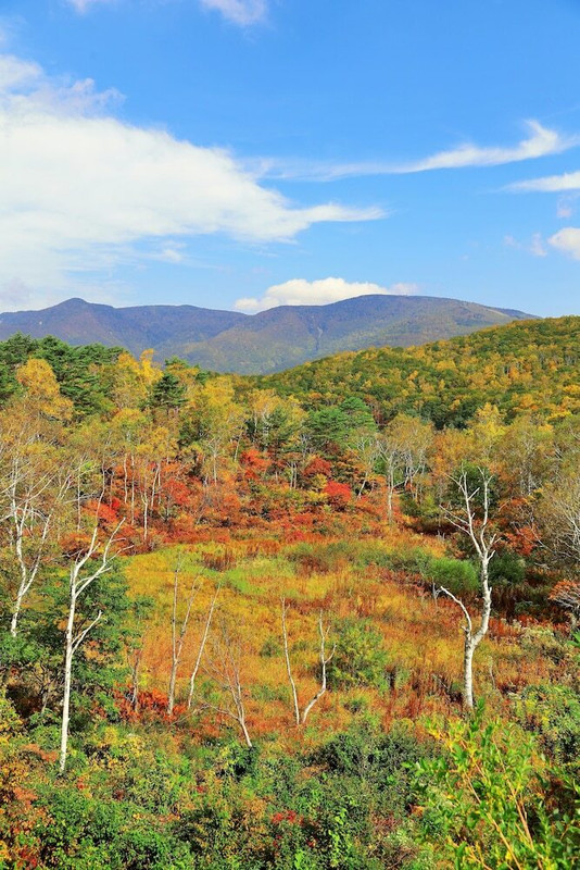 施設からの眺望
