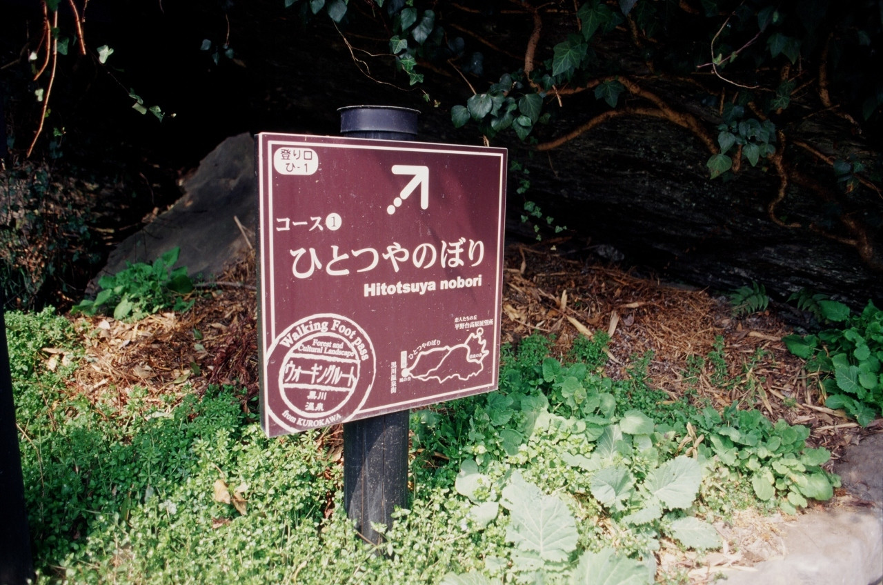 ⑤ウォーキングで綺麗な景色を楽しもう！1203943