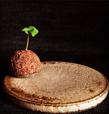 「Gris」料理 950594 