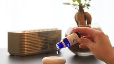 客室の設備とサービス / 39