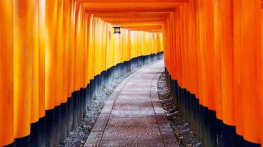 宿泊施設の地図 / 2