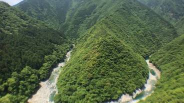 施設の敷地 / 13