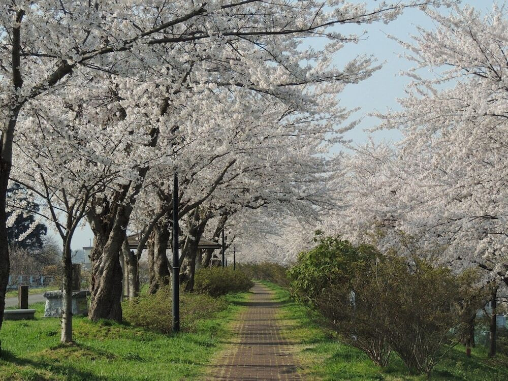 施設からの眺望