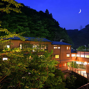 敷地内で自噴する新鮮な温泉を、源泉掛け流しで堪能できる宿3731489