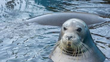 観光スポット / 5