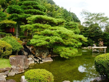 3種類の異なるタイプの日本庭園が魅力3724419