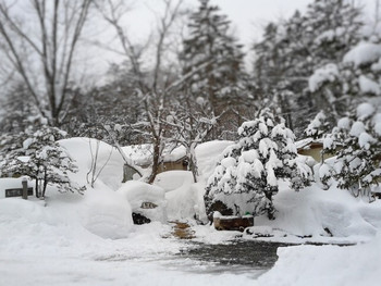 平湯温泉で雪見風呂ならこのお宿：「平湯温泉 もずも」960874