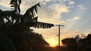 ストリート ビュー / 26