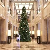 ホテル日航奈良（奈良県 シティホテル） / 3