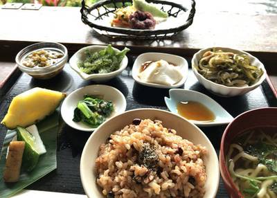 山の茶屋 楽水