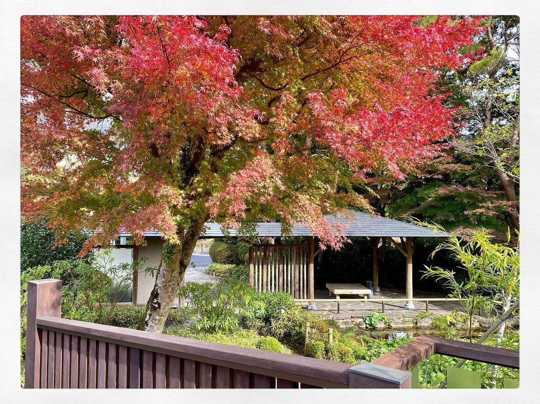 izu_japantravelさんの写真 / 1