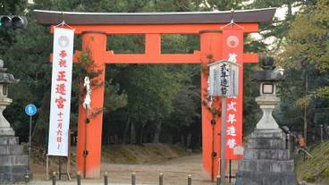 シティ ビュー / 24