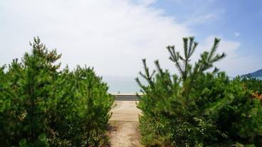 施設の敷地 / 21