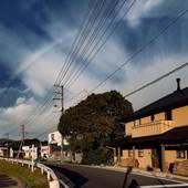 ゲストハウス くすの木（広島県 ゲストハウス・ホステル・ドミトリー） / 5