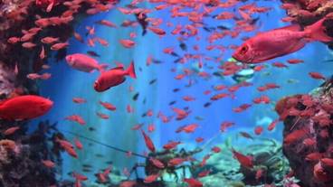 観光スポット / 10