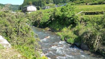 部屋からの景観 / 19
