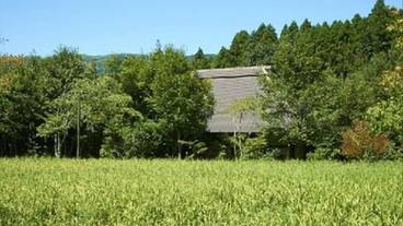 施設の敷地 / 16