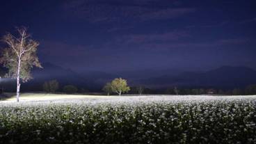 ランド ビュー / 8