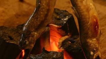 レストラン / 15