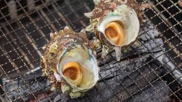 レストラン / 10