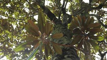 施設の敷地 / 29