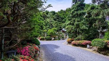 庭園 / 8