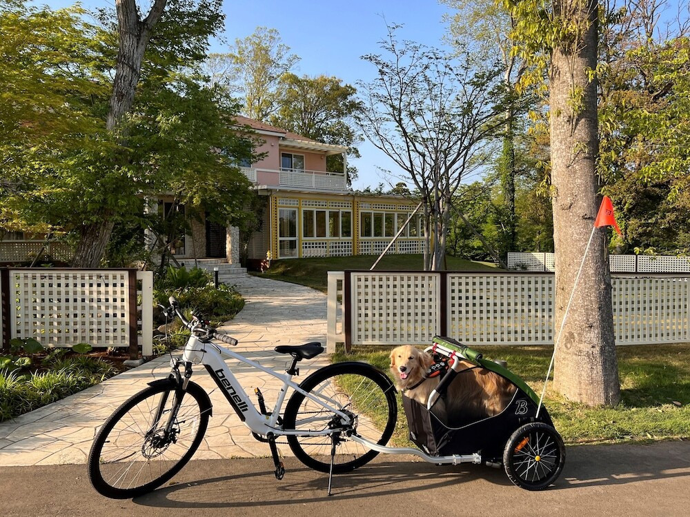 自転車