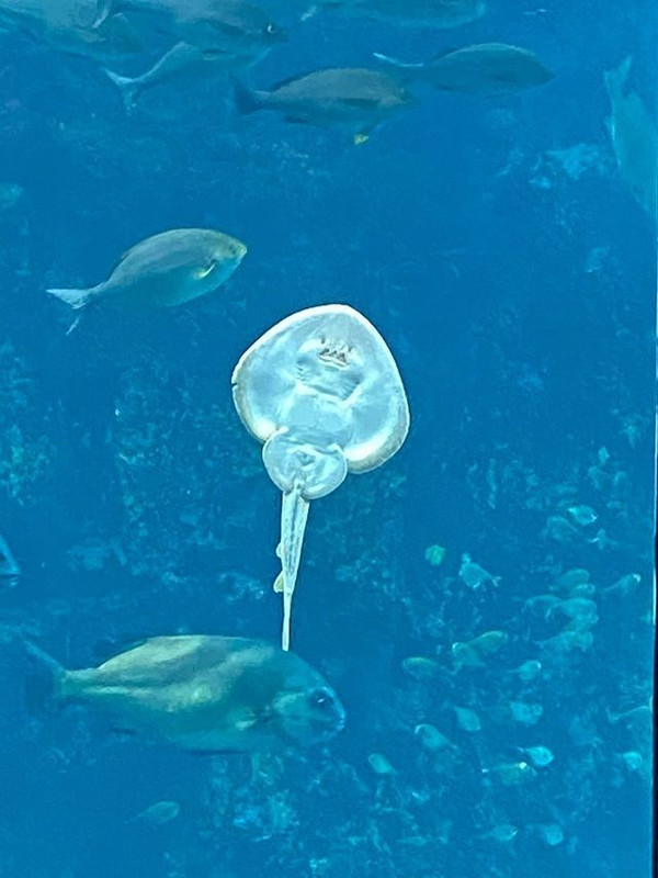 nobu05_okawaさんの写真 / 2