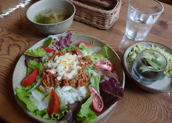「風の道」料理 1178733 