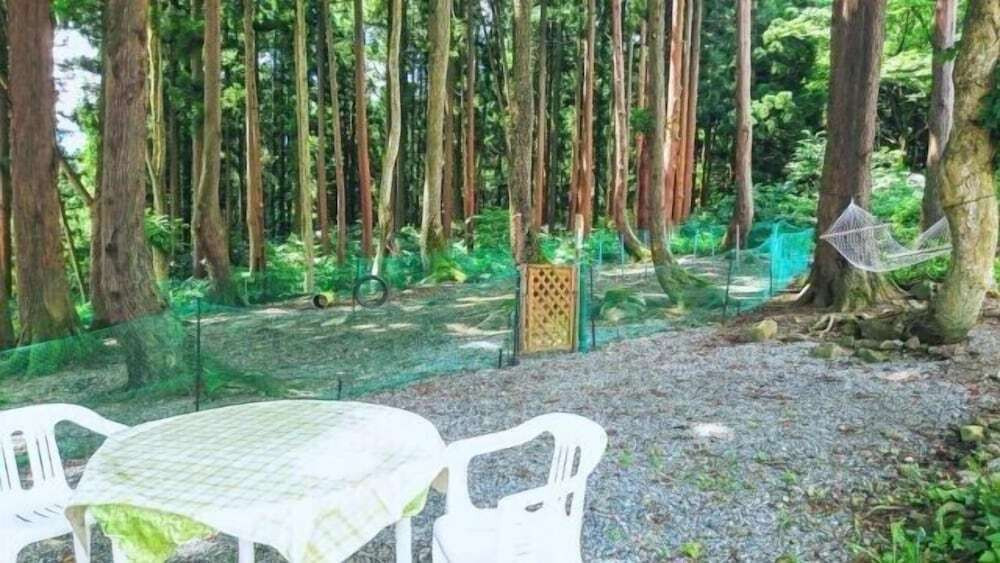 施設からの眺望