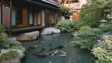 日本庭園内の池 / 5