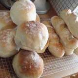 ウグイス バード ケージ(ウグイスバードケージ)