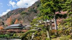 箱根湯本温泉 吉池旅館