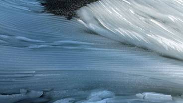 スノーシュー / 20