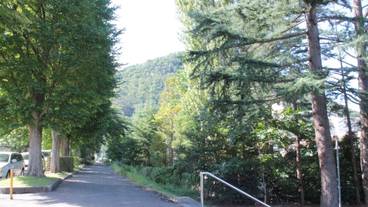 施設の敷地 / 13