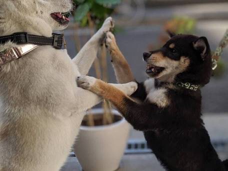 GUEST HOUSE MATSU / 2