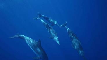 フィットネス設備 / 4