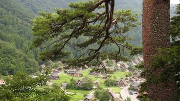 観光スポット / 7