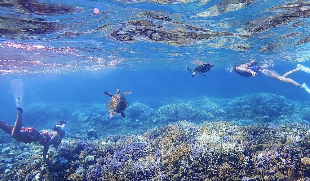  シュノーケリング / 3