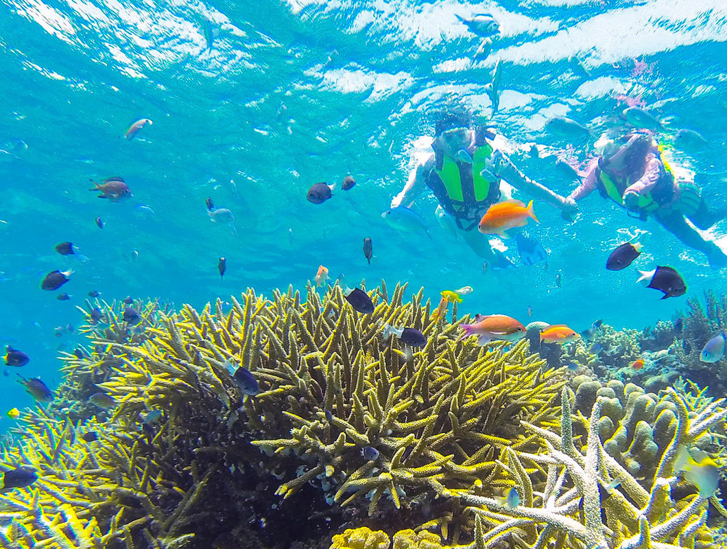 奥西表シュノーケル