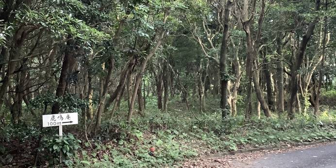 余暇を楽しむ1日3組限定の宿 鹿鳴庵（ろくめいあん）（鹿児島県 民宿） / 1