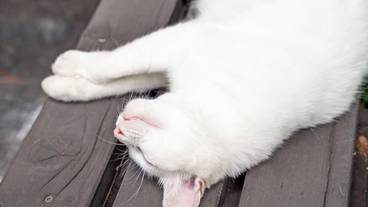 施設の敷地 / 20