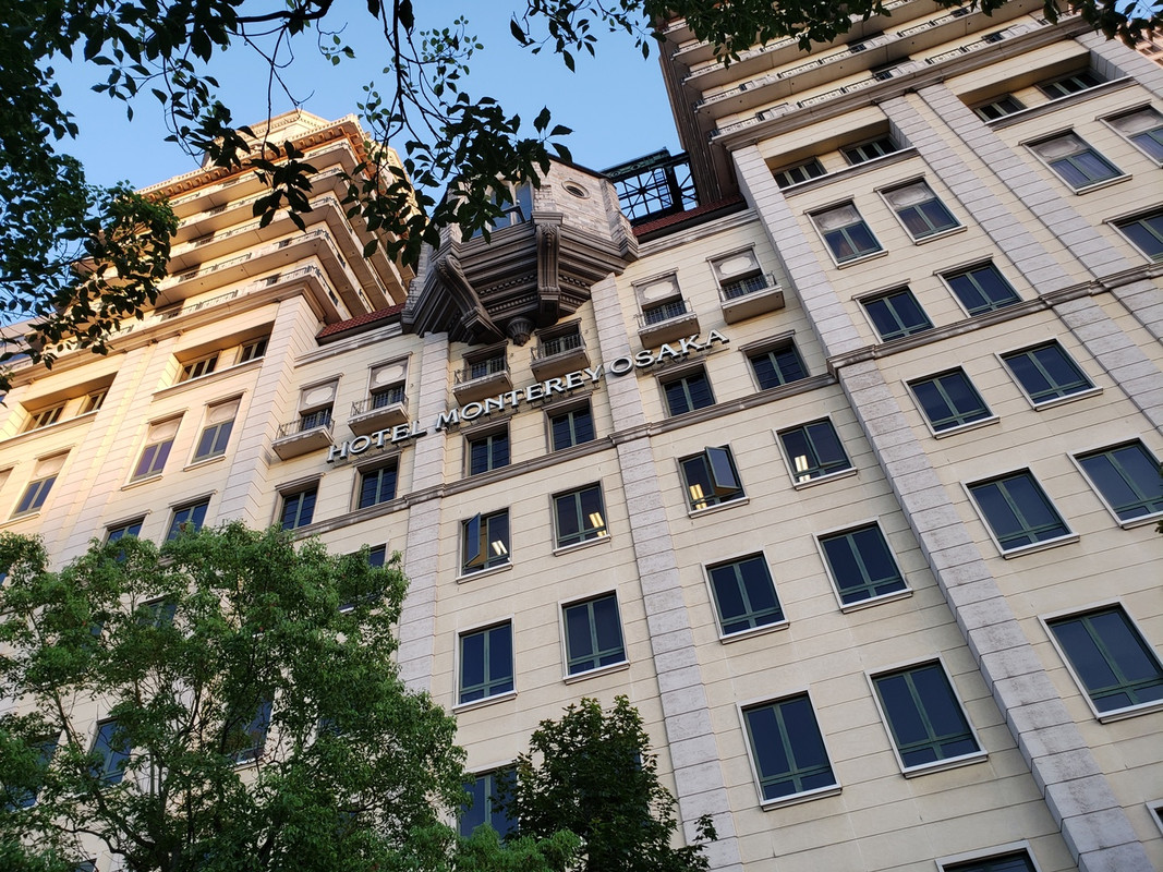 見上げないとわからない。