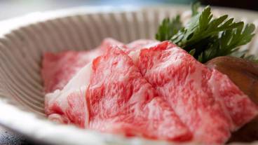 レストラン / 13