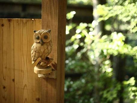 滝の上温泉 お宿 花風月 / 3