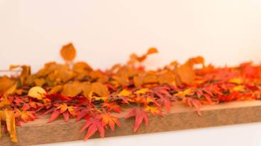 部屋からの景観 / 33